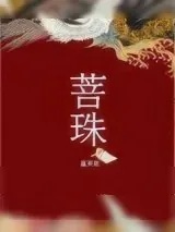 《菩珠》小说封面