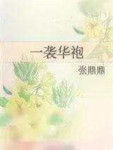 《一袭华袍》小说封面