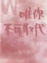 《唯你不可取代》小说封面