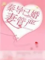 《秦导已婚，妻管严》小说封面