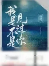 《我是不是见过你》小说封面