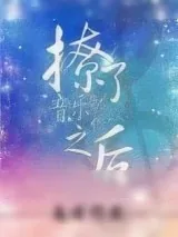 《星途人生》小说封面