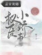 《权臣小娇妻总是失忆》小说封面