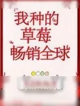 《我种的草莓畅销全球》小说封面