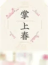 《掌上春》小说封面