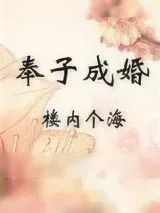 《奉子成婚》小说封面