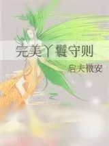 《完美丫鬟守则》小说封面