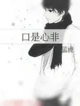 《口是心非》小说封面