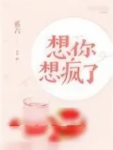 《想你想疯了》小说封面
