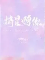 《摘星赠你》小说封面