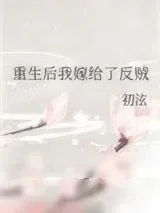 《重生后我嫁给了反贼》小说封面