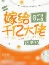 《嫁给千亿大佬[古穿今]》小说封面