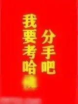 《分手吧，我要考哈佛！》小说封面