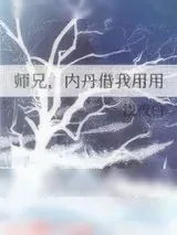 《师兄，内丹借我用用》小说封面