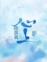 《降落我心上》小说封面