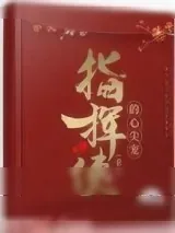 《指挥使的心尖宠（重生）》小说封面