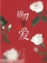 《横刀夺爱（作者：傅渝）》小说封面