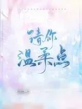 《请你温柔点》小说封面
