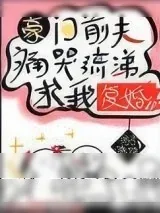 《豪门前夫痛哭流涕求我复婚》小说封面