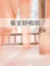 《崔家娇痴郎》小说封面