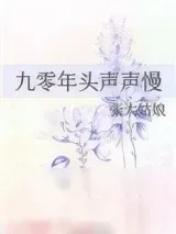 《九零年头声声慢》小说封面