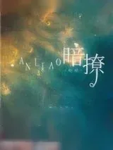 《暗撩》小说封面