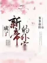 《成了新帝的外室》小说封面