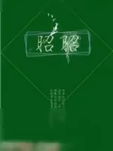 《昭昭》小说封面