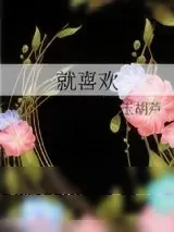 《就喜欢》小说封面