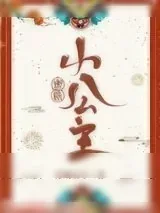 《蜜糖小公主》小说封面