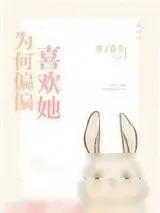 《为何偏偏喜欢她》小说封面