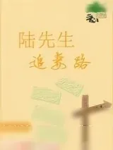 《陆先生追妻路》小说封面