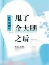 《甩了金大腿之后[娱乐圈]》小说封面