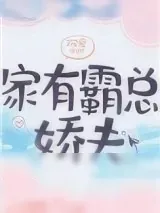 《家有霸总娇夫（女尊）》小说封面