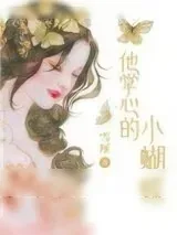 《他掌心的小蝴蝶》小说封面