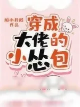 《穿成大佬的小怂包》小说封面