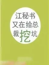《江秘书又在给总裁挖坑》小说封面
