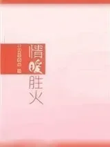 《情暖胜火》小说封面