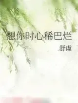 《想你时心稀巴烂》小说封面