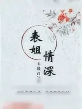 《表姐情深》小说封面