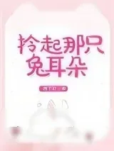 《拎起那只兔耳朵》小说封面