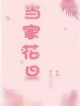 《当家花旦》小说封面