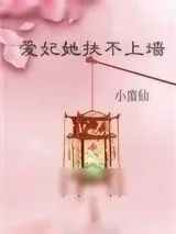 《爱妃她扶不上墙》小说封面