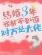 《结婚三年我都不知道对方是大佬》小说封面