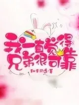 《我一直觉得兄弟很可靠》小说封面