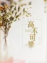 《高不可攀》小说封面
