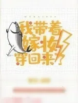 《我带着嫁妆穿回来了》小说封面