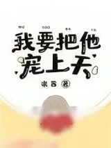 《我要把他宠上天》小说封面