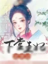 《下堂王妃逆袭记》小说封面