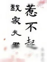 《我家夫君惹不起》小说封面